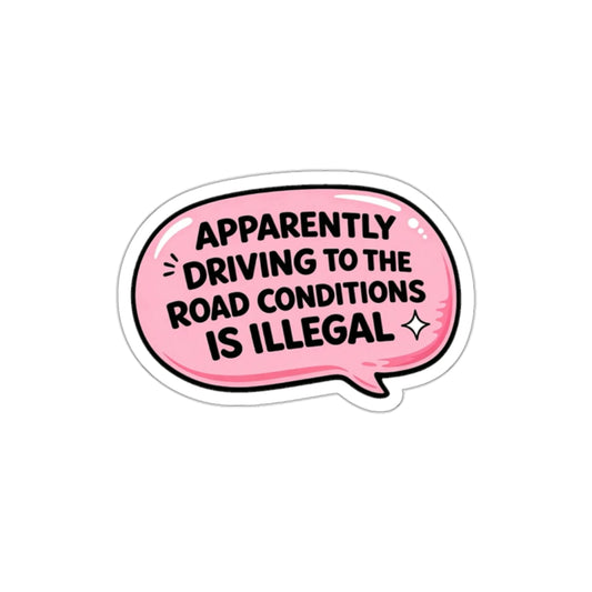 Apparently Driving To The Road Conditions Is Illegal
