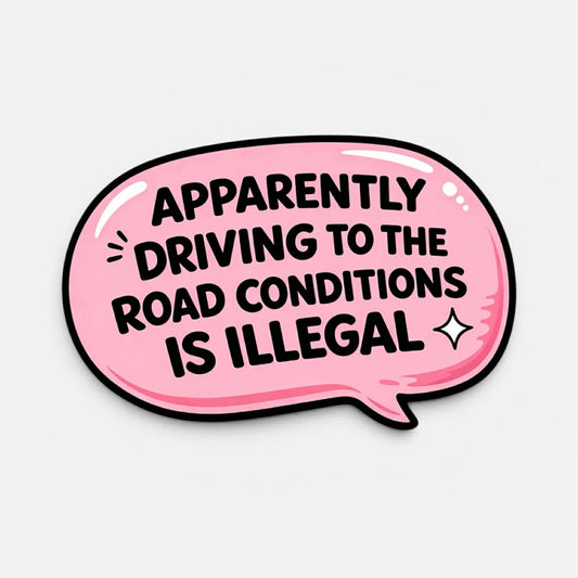 Apparently Driving To The Road Conditions Is Illegal